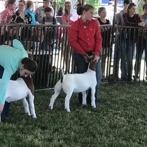 Meet your Posher, Danielle